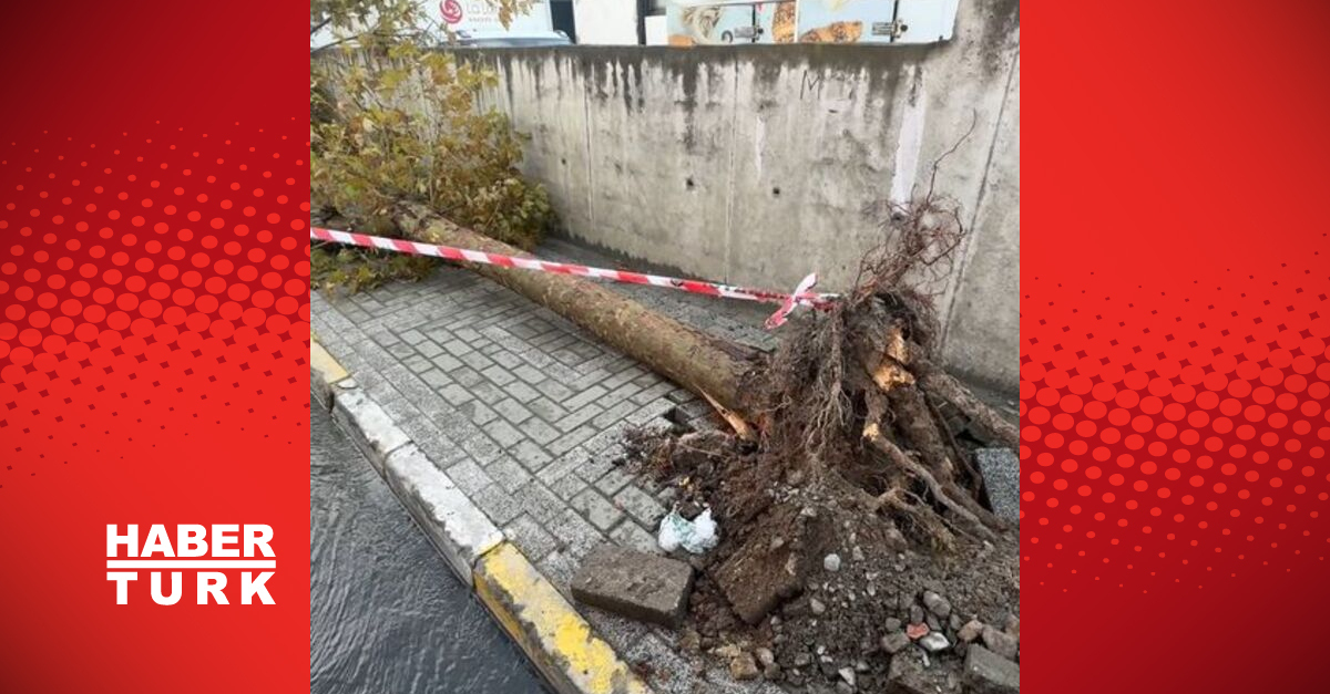 Avcılar’da fırtına nedeniyle binanın çatısı uçtu